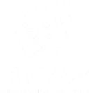 Bigaz Network Logo